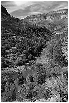 Rio Grande River and Big Arsenic Spring area. Rio Grande Del Norte National Monument, New Mexico, USA ( black and white)