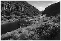 Cactus and shurbs in autumn, John Dunn Bridge Recreation Site. Rio Grande Del Norte National Monument, New Mexico, USA ( black and white)