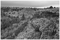 Rio San Antonio canyon. Rio Grande Del Norte National Monument, New Mexico, USA ( black and white)