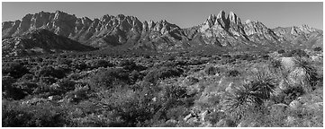 Organ needles, Rabbit Ears, Baylor Peak above Aguirre Springs. Organ Mountains Desert Peaks National Monument, New Mexico, USA (Panoramic black and white)
