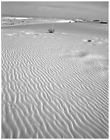 Ripples in sand dunes. White Sands National Monument, New Mexico, USA ( black and white)