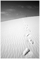 Footprints. White Sands National Monument, New Mexico, USA (black and white)