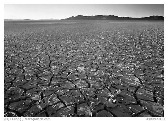 Peeling dried mud, sunrise, Black Rock Desert. USA (black and white)