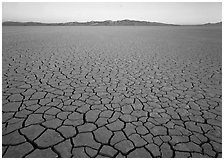 Cracked mud flat at sunrise, Black Rock Desert. Nevada, USA ( black and white)