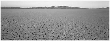 Desert landscape with cracked mud. Nevada, USA (Panoramic black and white)