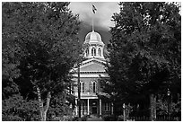 Nevada State Capitol. Carson City, Nevada, USA ( black and white)