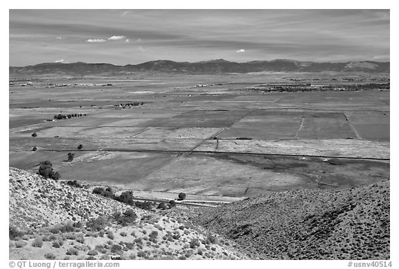 Agricultural lands, Carson Valley. Genoa, Nevada, USA