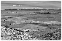 Agricultural lands, Carson Valley. Genoa, Nevada, USA ( black and white)