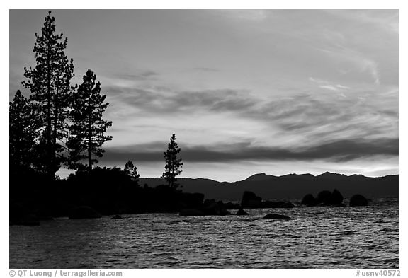 Shoreline with pine trees and rocks, Sand Harbor, East Shore, Lake Tahoe, Nevada. USA