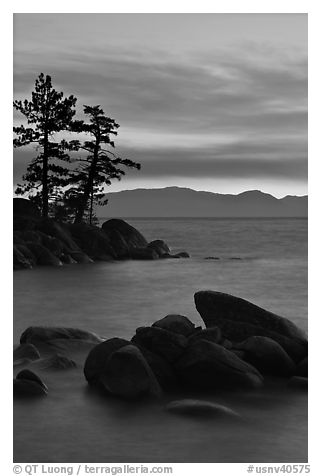 Boulders and trees, sunset, Sand Harbor, East Shore, Lake Tahoe, Nevada. USA (black and white)