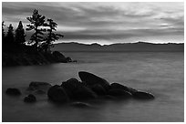 Rocks and trees, sunset, Sand Harbor, East Shore, Lake Tahoe, Nevada. USA ( black and white)
