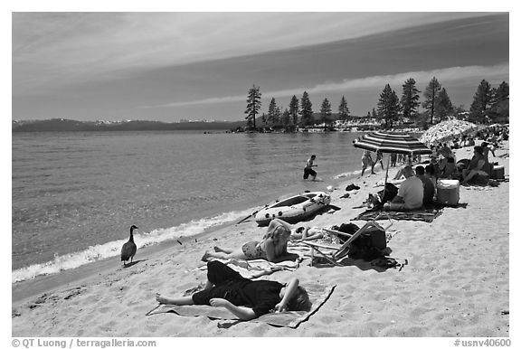 Families on sandy beach, Lake Tahoe-Nevada State Park, Nevada. USA