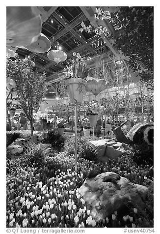 Botanical gardens inside Bellagio Hotel. Las Vegas, Nevada, USA (black and white)
