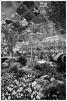 Botanical gardens inside Bellagio Hotel. Las Vegas, Nevada, USA ( black and white)