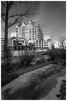 Truckee River in winter. Reno, Nevada, USA (black and white)