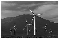 Electricity-generating windmills. Nevada, USA (black and white)