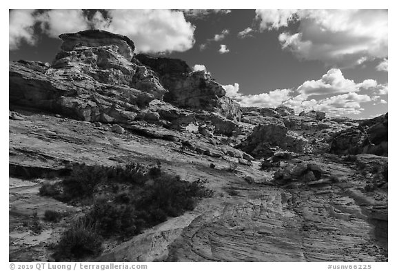 Whitney Pocket. Gold Butte National Monument, Nevada, USA (black and white)
