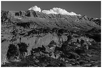 Cliff with palm trees below Little Finland. Gold Butte National Monument, Nevada, USA ( black and white)