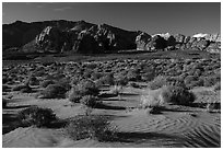 Sand dunes. Gold Butte National Monument, Nevada, USA ( black and white)