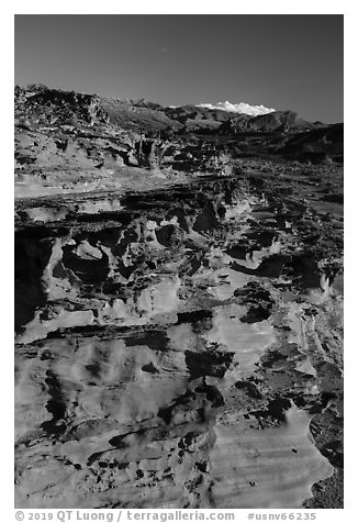 Mesa with eroded sandstone formations. Gold Butte National Monument, Nevada, USA (black and white)