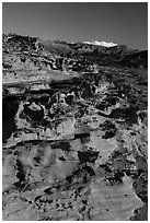 Mesa with eroded sandstone formations. Gold Butte National Monument, Nevada, USA ( black and white)