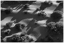 Dunes from above. Gold Butte National Monument, Nevada, USA ( black and white)