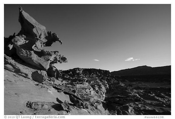 Hobgoblins Playground, afternoon. Gold Butte National Monument, Nevada, USA (black and white)