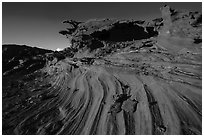 Swirl, Little Finland. Gold Butte National Monument, Nevada, USA ( black and white)