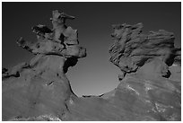 Thin fins of sandstone. Gold Butte National Monument, Nevada, USA ( black and white)