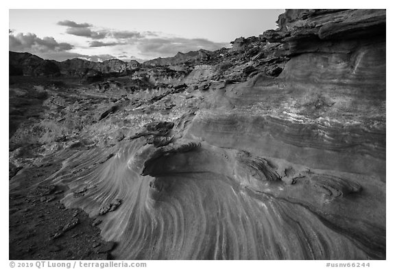 Fins and twirls at sunset, Little Finland. Gold Butte National Monument, Nevada, USA (black and white)