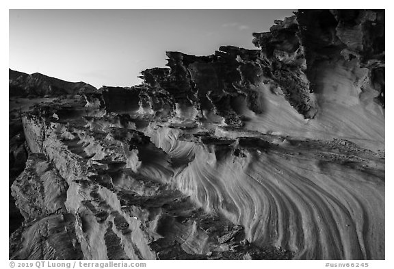 Fins and twrils of weathered sandstone. Gold Butte National Monument, Nevada, USA (black and white)