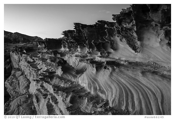 Fins and twrils of weathered sandstone. Gold Butte National Monument, Nevada, USA (black and white)