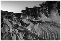 Fins and twrils of weathered sandstone. Gold Butte National Monument, Nevada, USA ( black and white)