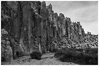 Rhyolite cliffs, White River Narrows. Basin And Range National Monument, Nevada, USA ( black and white)