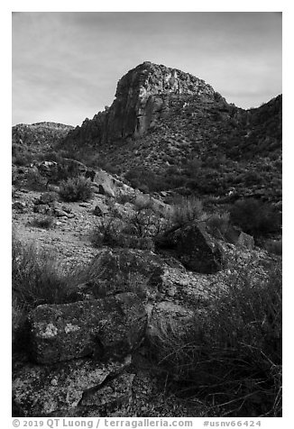 Lichen covered rocks and cliff, White River Narrows Archeological District. Basin And Range National Monument, Nevada, USA (black and white)