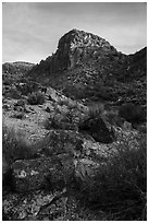 Lichen covered rocks and cliff, White River Narrows Archeological District. Basin And Range National Monument, Nevada, USA ( black and white)