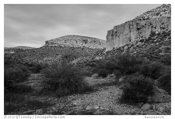Cliffs at sunset, White River Narrows Archeological District. Basin And Range National Monument, Nevada, USA (black and white)