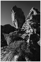 Ash-fall tuff rock towers. Basin And Range National Monument, Nevada, USA ( black and white)