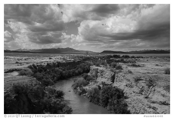 Eroded river canyon. Basin And Range National Monument, Nevada, USA (black and white)