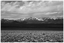 Sagebrush flats and snowy mountains. Basin And Range National Monument, Nevada, USA ( black and white)