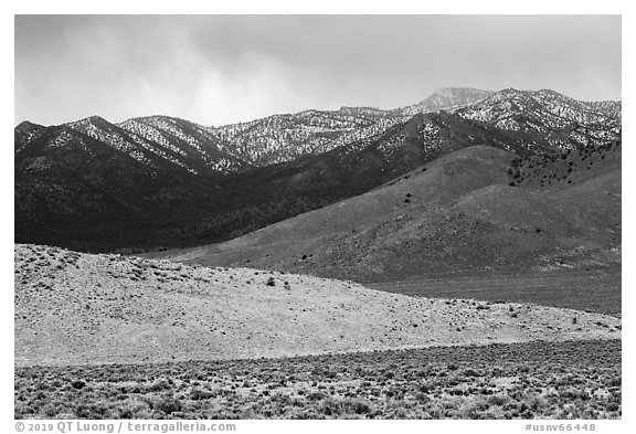 Foothills and snowy mountains, Mt Irish range. Basin And Range National Monument, Nevada, USA (black and white)