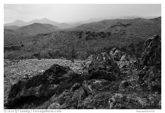 Volcanic rocks and Mt Irish range. Basin And Range National Monument, Nevada, USA (black and white)