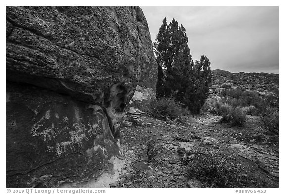 Volcanic boulders with rock art, Mt Irish Archeological district. Basin And Range National Monument, Nevada, USA (black and white)