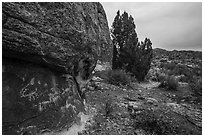 Volcanic boulders with rock art, Mt Irish Archeological district. Basin And Range National Monument, Nevada, USA ( black and white)