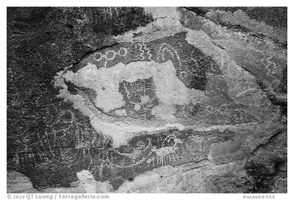 Petroglyphs carved in soft red volcanic rock, Mt Irish Archeological district. Basin And Range National Monument, Nevada, USA (black and white)