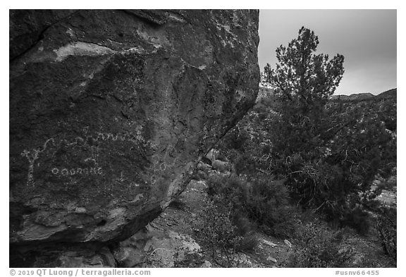 Volcanic boulder with rock art, Mt Irish. Basin And Range National Monument, Nevada, USA (black and white)