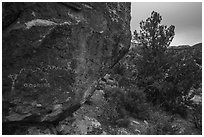 Volcanic boulder with rock art, Mt Irish. Basin And Range National Monument, Nevada, USA ( black and white)