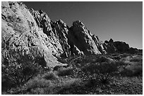 Whitney Pocket by moonlight. Gold Butte National Monument, Nevada, USA ( black and white)