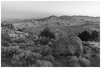 Tramp Ridge and Paradise Valley from Gold Butte Peak. Gold Butte National Monument, Nevada, USA ( black and white)