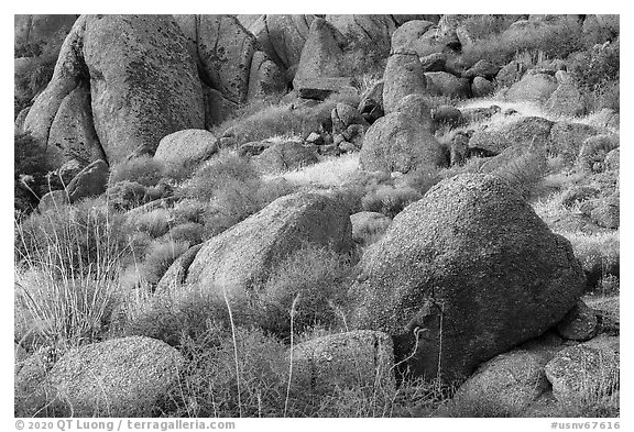 Boulders. Gold Butte National Monument, Nevada, USA (black and white)